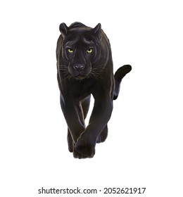 Black Panther Watercolor Illustration Isolated On White Background 