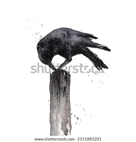 Black Raven, isolated on white background. Crow - gothic black and white watercolor illustration. Bird clip art, wall art print. High quality illustration