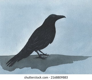 black raven watercolor illustration, crow