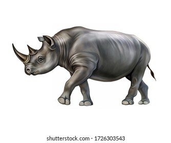 Black Rhino (Diceros Bicornis), Realistic Drawing, Illustration For The Encyclopedia Of Endangered Animals, Isolated Image On White Background