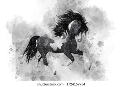 553 Horse runs watercolor painting Images, Stock Photos & Vectors ...