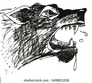 Black Scary Evil Wolf Growling