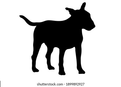 Black silhouette of bull terrier dog isolated on white background. High quality photo