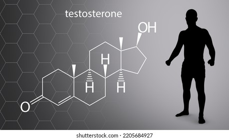 1,277 Testosterone Structure Images, Stock Photos & Vectors | Shutterstock