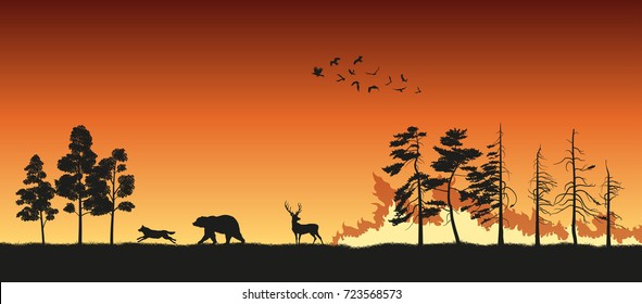 Black Silhouettes Of Animals On Wildfire Background. Bear, Wolf And Deer Escape From A Forest Fire. 