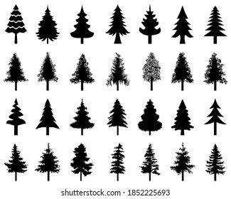 Vector Trees Illustrations Monochrome Illustrations Coniferous Stock ...