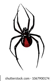 Black Spider Widow Stock Illustration 1067900174