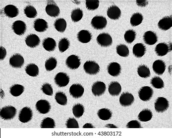 Black And Spots, Dalmation Fur Background