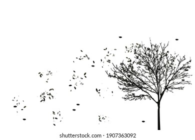 Black tree and fall leaves on white background for background and texture concept 