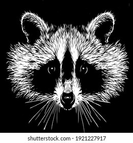 black and white art  raccoon