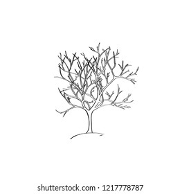 Black White Bare Tree Stock Illustration 1217778787 | Shutterstock