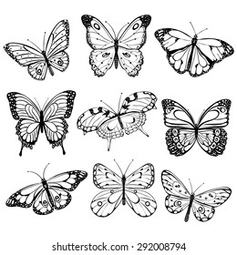 Set Realistic Vector Butterflies Collection Vintage Stock Vector ...