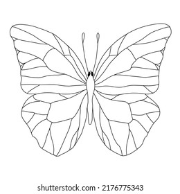 Black And White Butterfly With Open Wings As Seen From Above, Outline Drawing With A Black Line On White By Hand. Coloring.