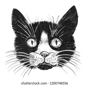 Vector Cat Sketch Fashion Black White Stock Vector (Royalty Free) 329191082