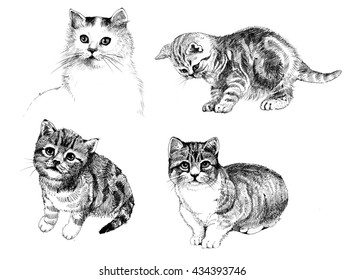 Black and white cats and kittens set ink hand drawn illustration