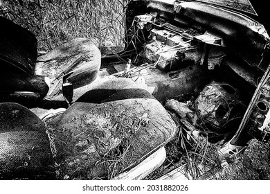 Black And White Concept An Ugly Interior Of A Car In Dry Grass And Twigs Thrown Into The Environment After An Accident