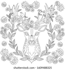 Black White Deer For Coloring