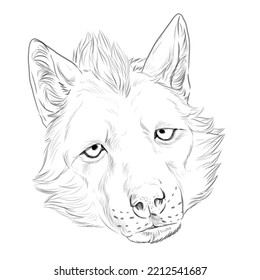 Black And White Digital Drawing Of The Head Of A Sad Wolf With Mohawk Hairstyle