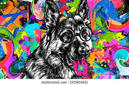  black and white dog with lsd