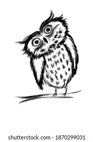 Black And White Drawing Of An Owl With Its Head Tilted To The Side