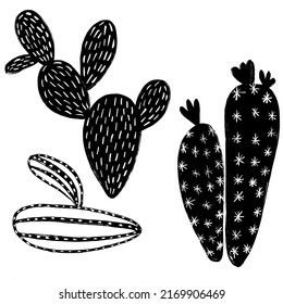 
black and white drawn cacti imitating woodcut style. - Powered by Shutterstock