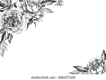 2,710 Peonies corner border Images, Stock Photos & Vectors | Shutterstock