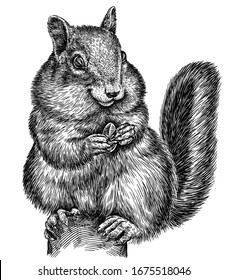 Black And White Engrave Isolated Chipmunk Illustration