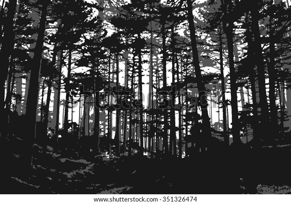 Black White Forest Background Silhouette Trees Stock Illustration 351326474