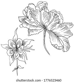 Hibiscus Flowers Drawing Sketch Lineart On Stock Vector (Royalty Free ...