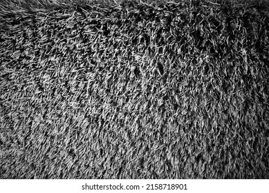 319 Minimal carpet grass Images, Stock Photos & Vectors | Shutterstock