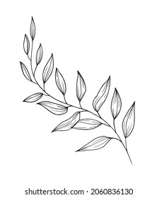 Black And White Hand Drawing Line Work Illustration. Branch Of An Exotic Plant