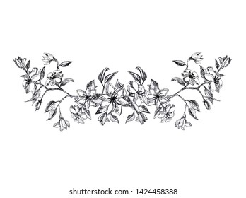 Black White Hand Drawn Bouquet Flowers Stock Illustration 1424458388 ...