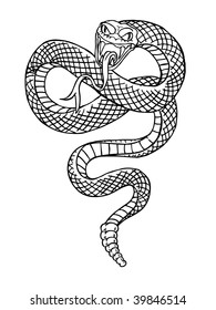 Black And White Illustration Of A Rattle Snake Preparing To Strike