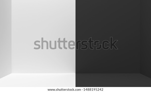 Black and white  interior\
divided in half into two parts in the middle. Empty blank room with\
copy space.  One half is white, the other half is black. 3D\
rendering