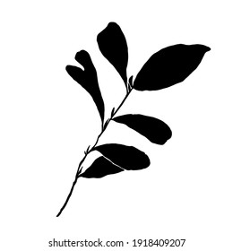 Black and white leaf design