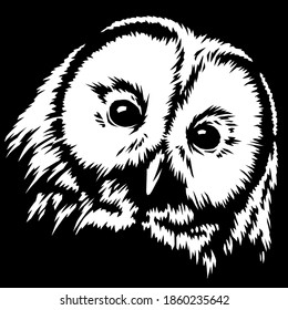 black and white linear paint draw owl illustration art