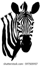 Black White Linear Paint Draw Zebra Stock Vector (Royalty Free) 587708228