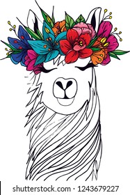 Black And White Llama Sketch Wearing A Colorful Flower Crown