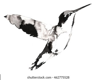 black and white monochrome painting with water and ink draw hummingbird illustration