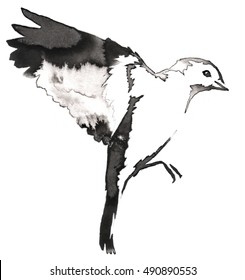 black and white monochrome painting with water and ink draw tit bird illustration