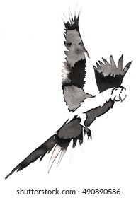 black and white monochrome painting with water and ink draw parrot bird illustration