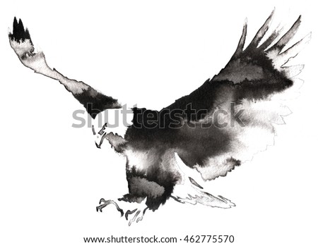 black and white monochrome painting with water and ink draw eagle bird illustration