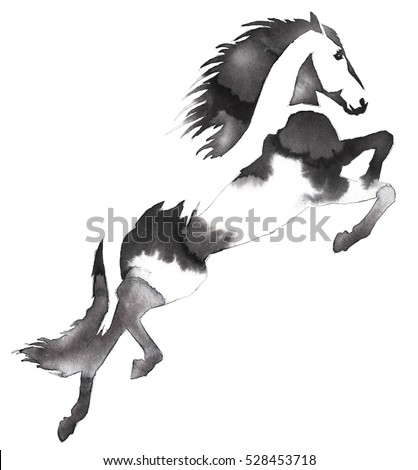 black and white monochrome painting with water and ink draw horse illustration