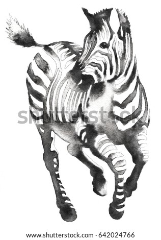 black and white monochrome painting with water and ink draw zebra illustration