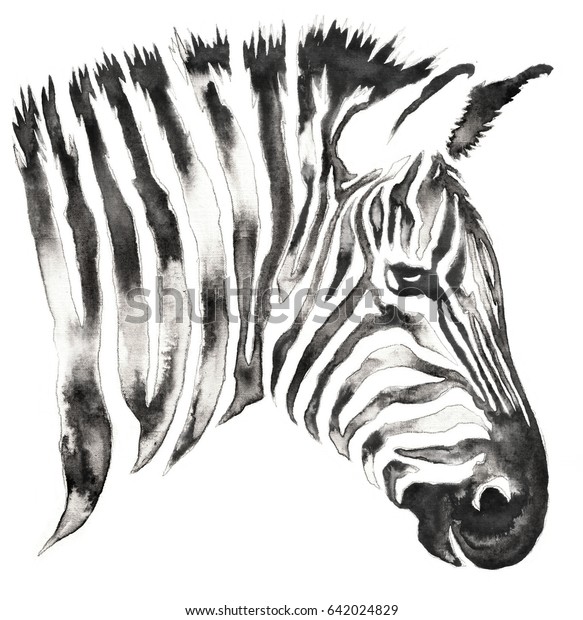 black and white monochrome painting with water and ink draw zebra stripes illustration