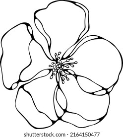 Black White Outline Illustration Sakura Flower Stock Illustration ...