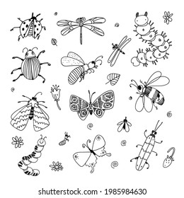 Black White Set Illustrations Depicting Insects Stock Illustration ...