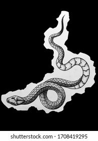 1つの曲がりで黒と白の鋭いデザインのヘビのタトゥー のイラスト素材