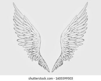 black and white wings outline