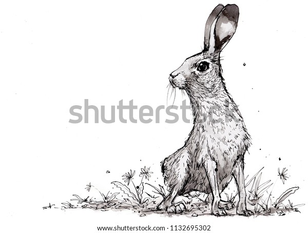 野うさぎが肩越しに見渡す 野うさぎやウサギの白黒のスケッチ ウサギは危険を探し 耳をそばだて 耳を傾け 耳を傾けていた 文字用のスペースを持つウサギ の伝統的なスケッチ のイラスト素材